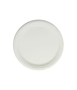 Biodegradable Plate 10in 50pc