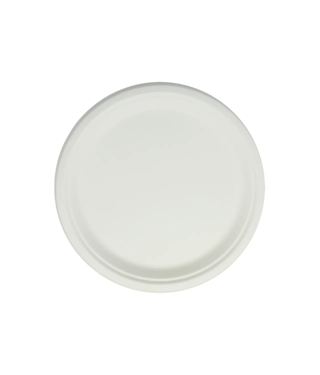 Biodegradable Plate 10in 50pc