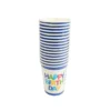 Birthday Boy Paper Cup 9oz 16pcs
