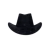 Black Cowboy Hat