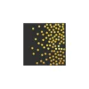 Black With Gold Dots Small Napkins 20pc