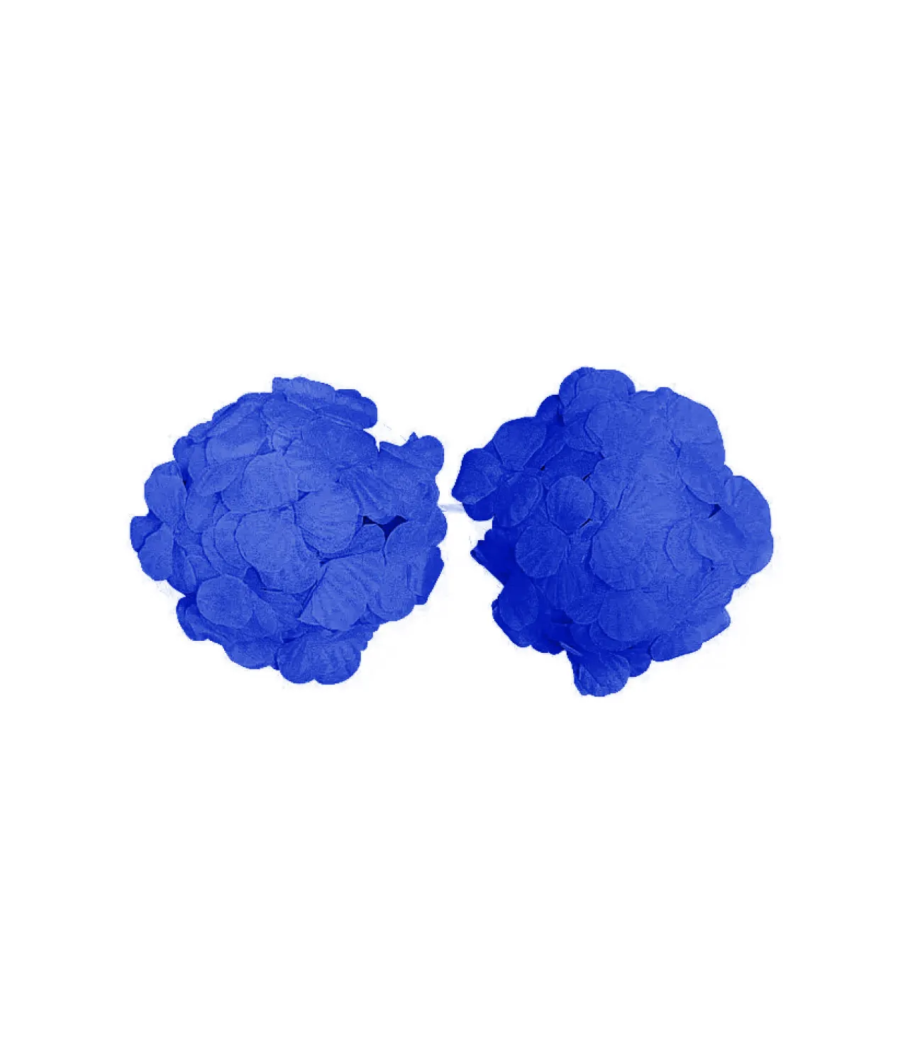 Blue Flower Bra
