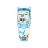 Boy Hot Stamping Paper Cups 9oz 20pc