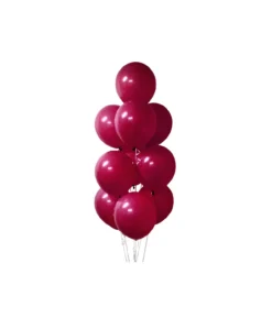 Burgundy Latex Balloons 12inch 20pk