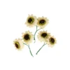 Champagne Artificial Craft Sunflower 6pc 5cm