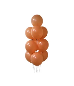 Coco Morandi Latex Balloons 12inch 20pk