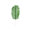 Dark Green Needle Leaf Stem 55cm