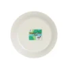 Dinosaur Paper Plates 9in x 12pc
