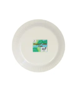 Dinosaur Paper Plates 9in x 12pc