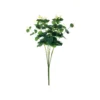 Eucalyptus 16 Stem Bush