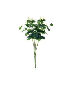 Eucalyptus 16 Stem Bush
