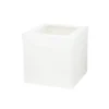 Extra Tall Cake Box with Window 10in
