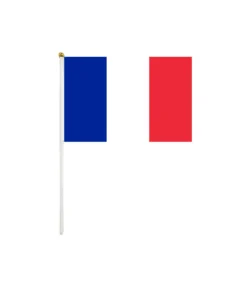 France Hand Waving Flag 10pc