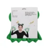 Frog Dress Up Kit
