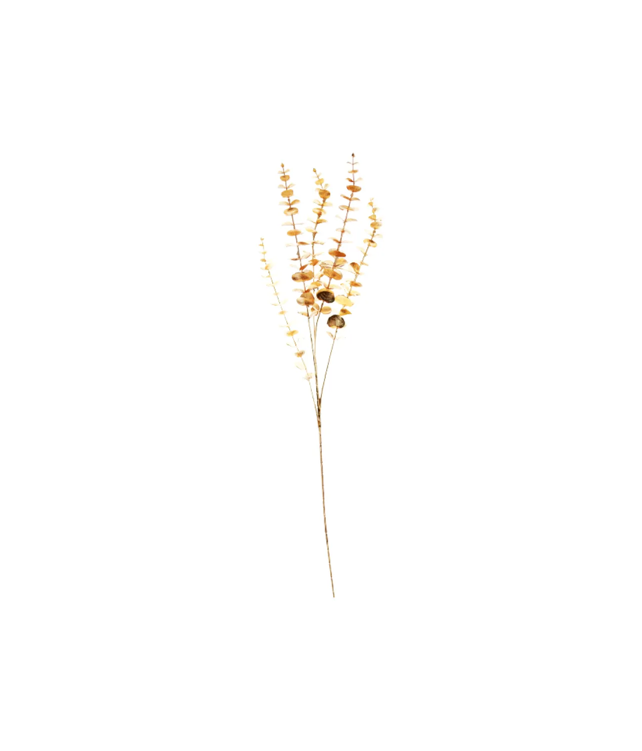 Gold Eucalyptus Stem 90cm