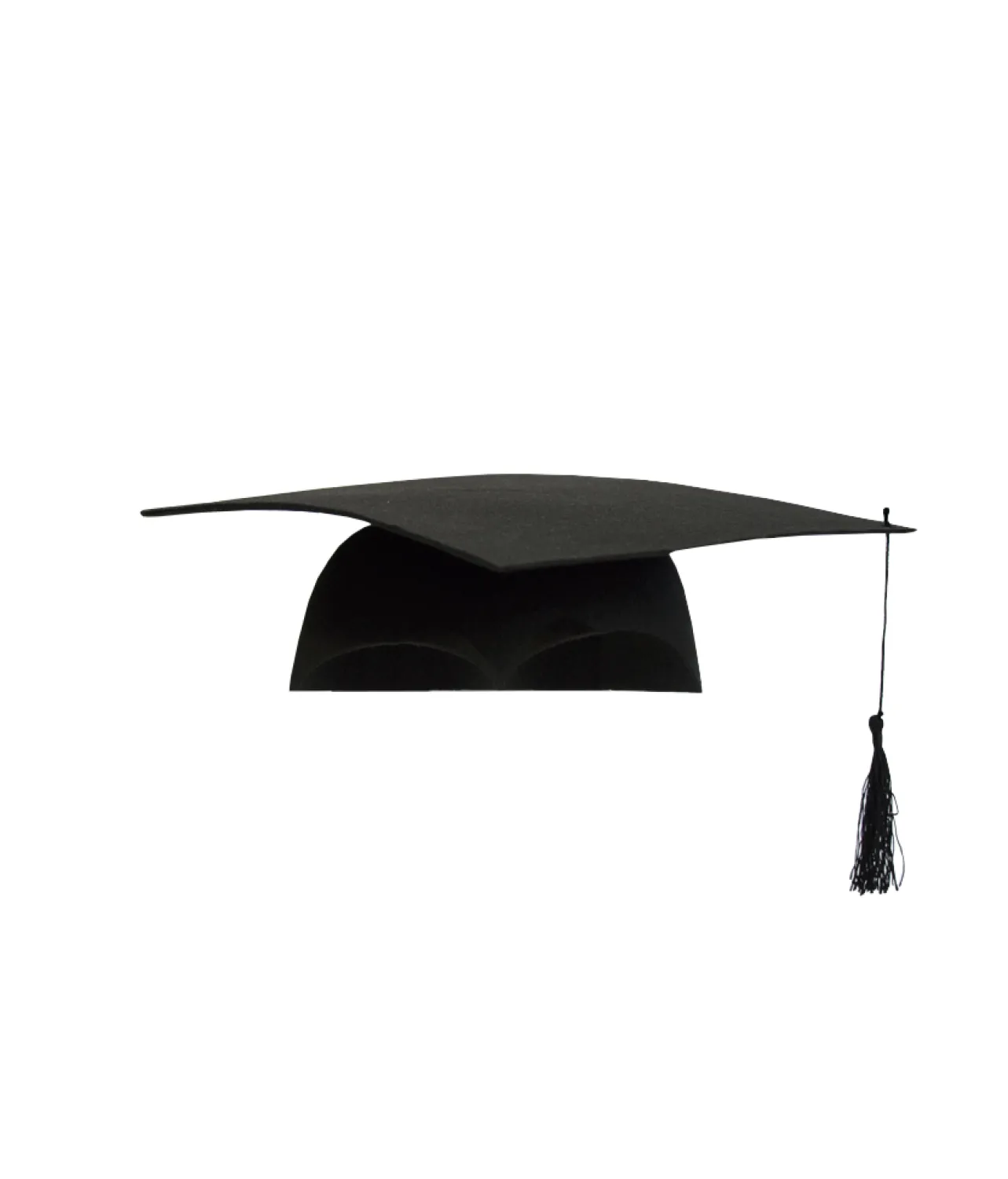 Graduation Felt Hat
