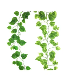 Green Wisteria Vine 185cm Assorted