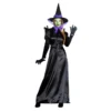 Green Witch Adult