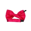 Hot Pink Bow Tie