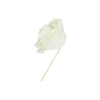 Ivory Rose Artificial Craft Flower 6pc 10cm