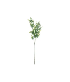Light Green Eucalyptus Stem 67cm