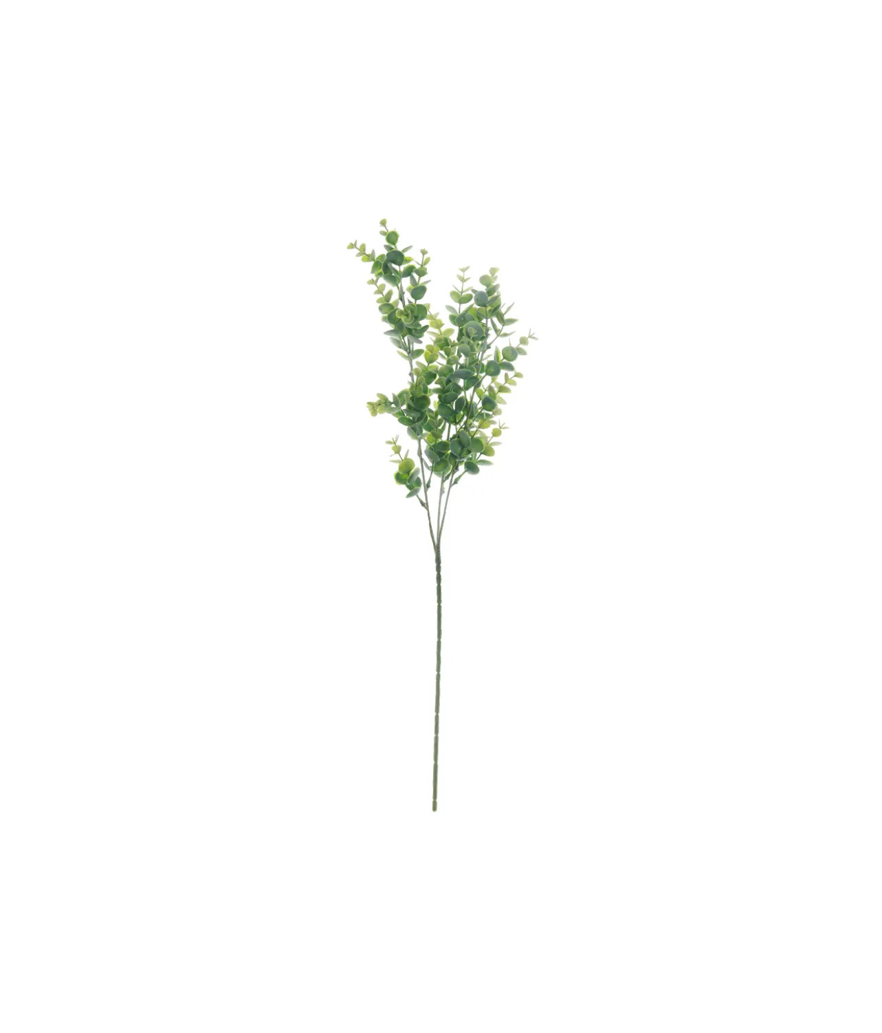 Light Green Eucalyptus Stem 67cm