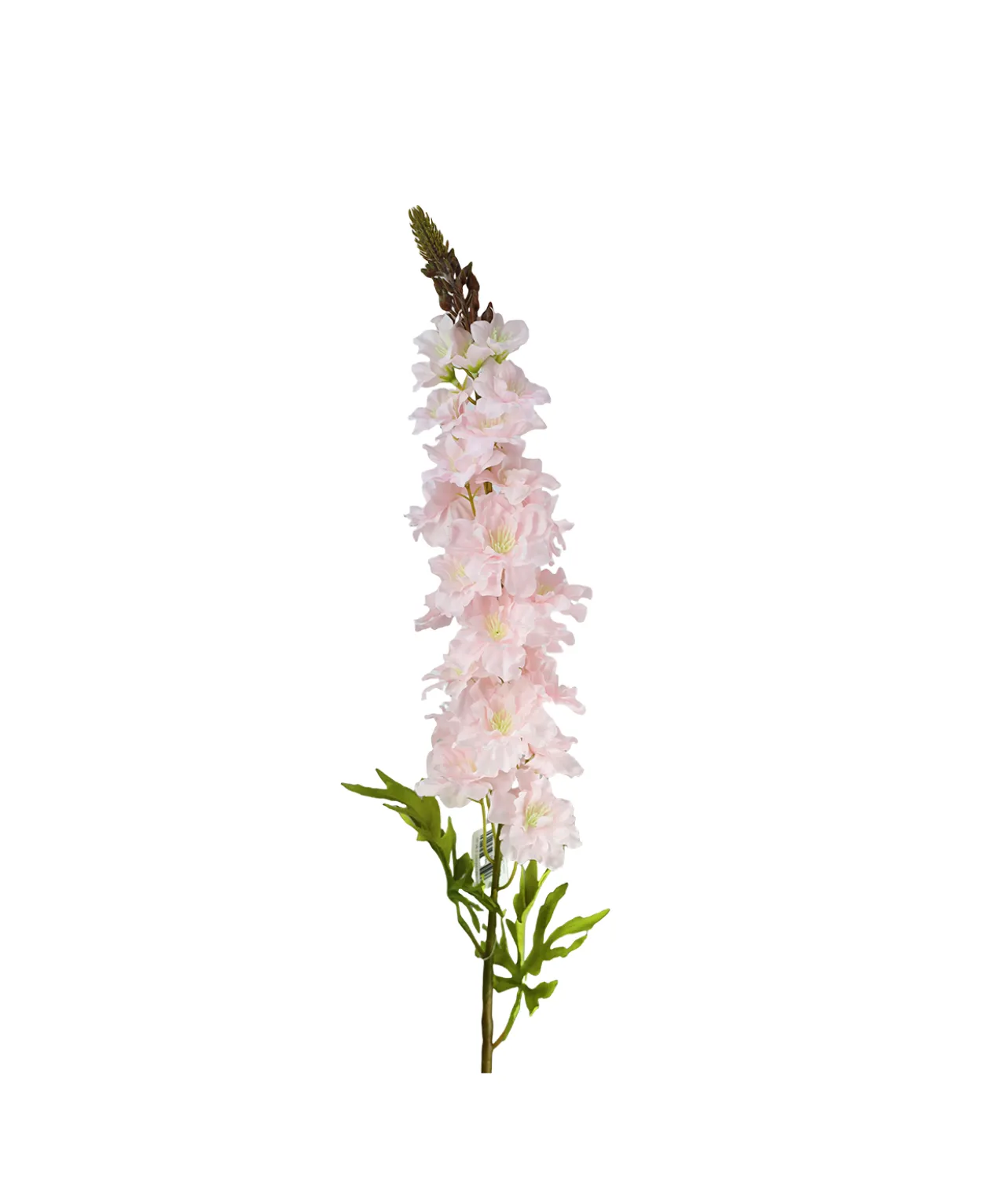 Light Pink Delphinium Stems 31 Flowers 105cm