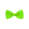 Lime Green Bow Tie