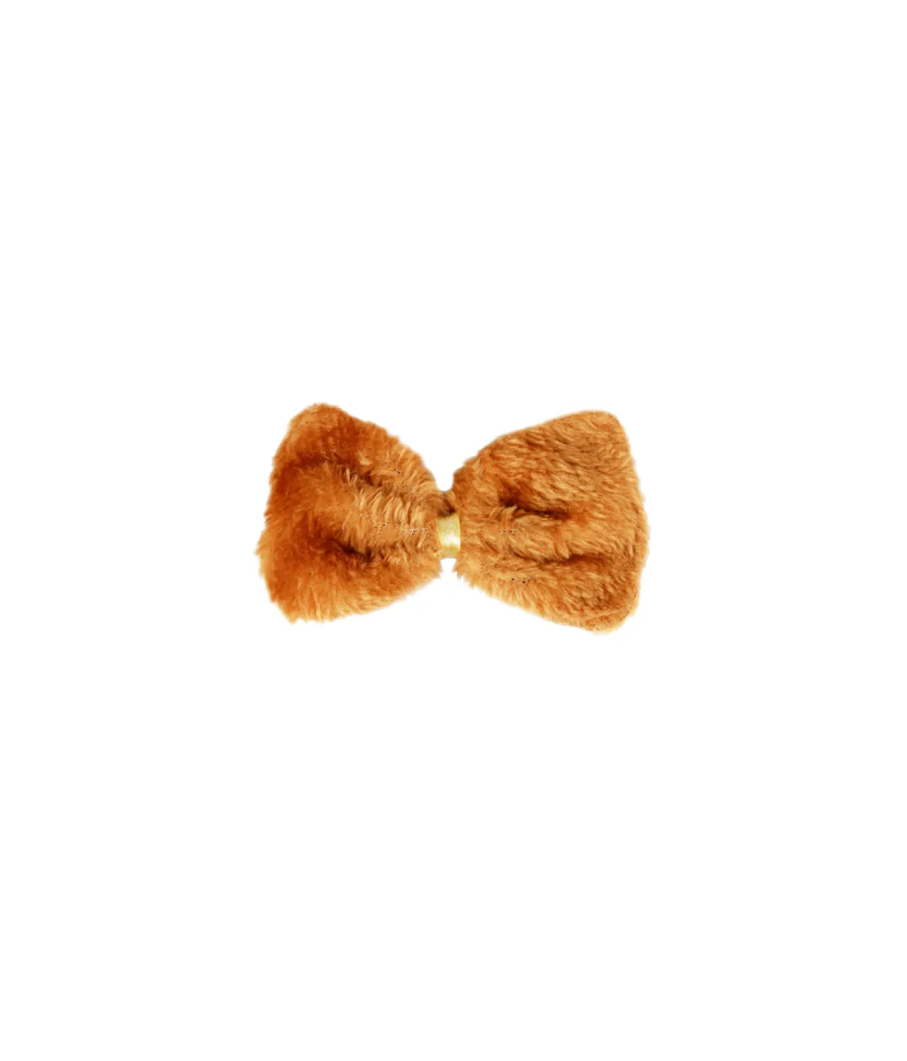Lion Accessory Set