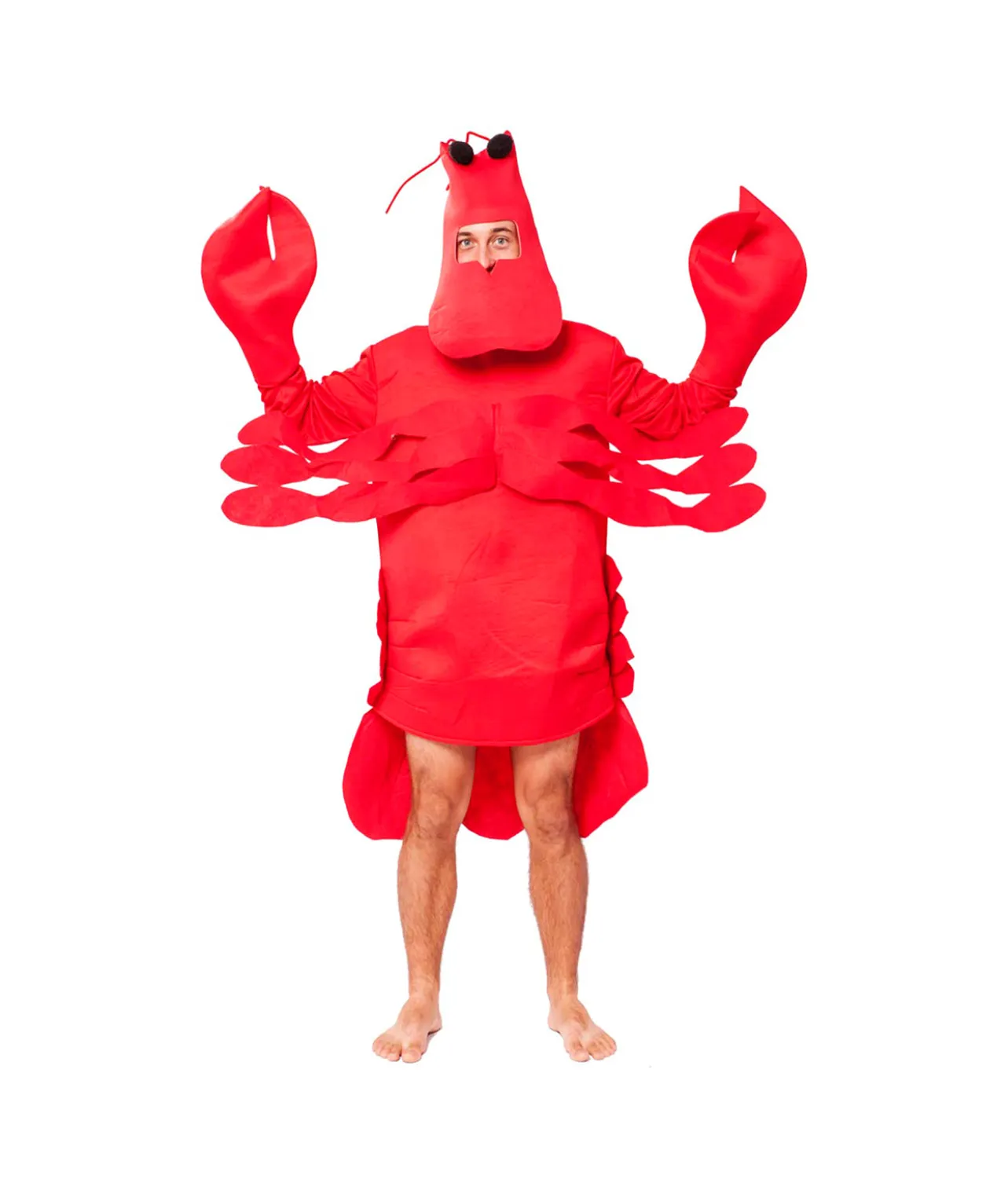 Lobster Adult