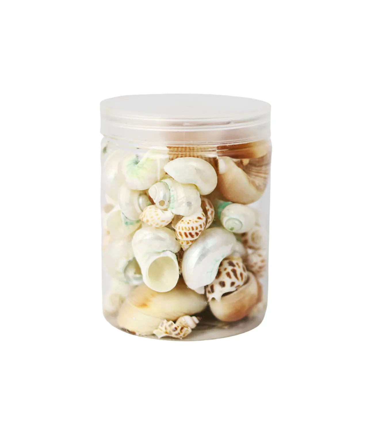Mixed Natural Sea Shells 250g