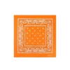 Orange Bandana