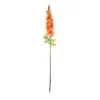 Orange Delphinium Flower Stem 105cm