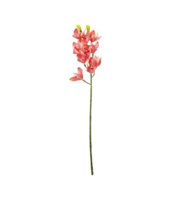 Pink Orchid With Pink Stamen 71cm