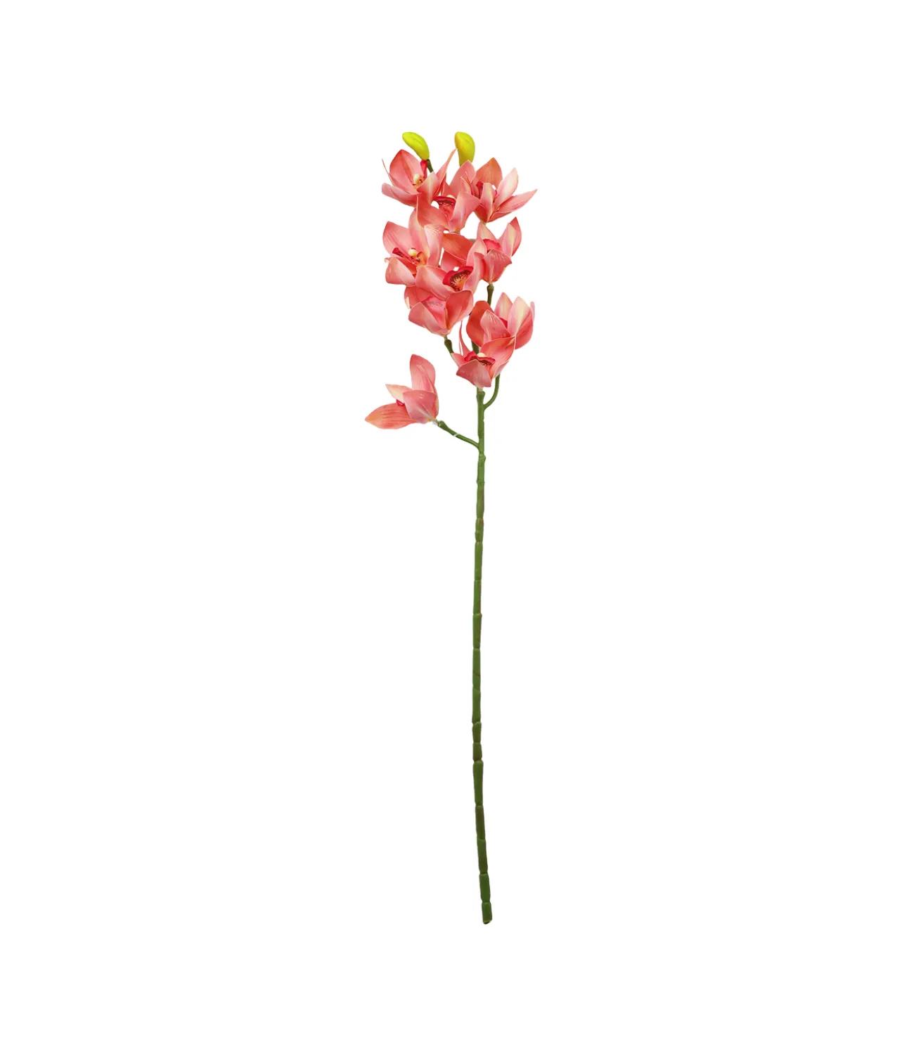 Pink Orchid With Pink Stamen 71cm