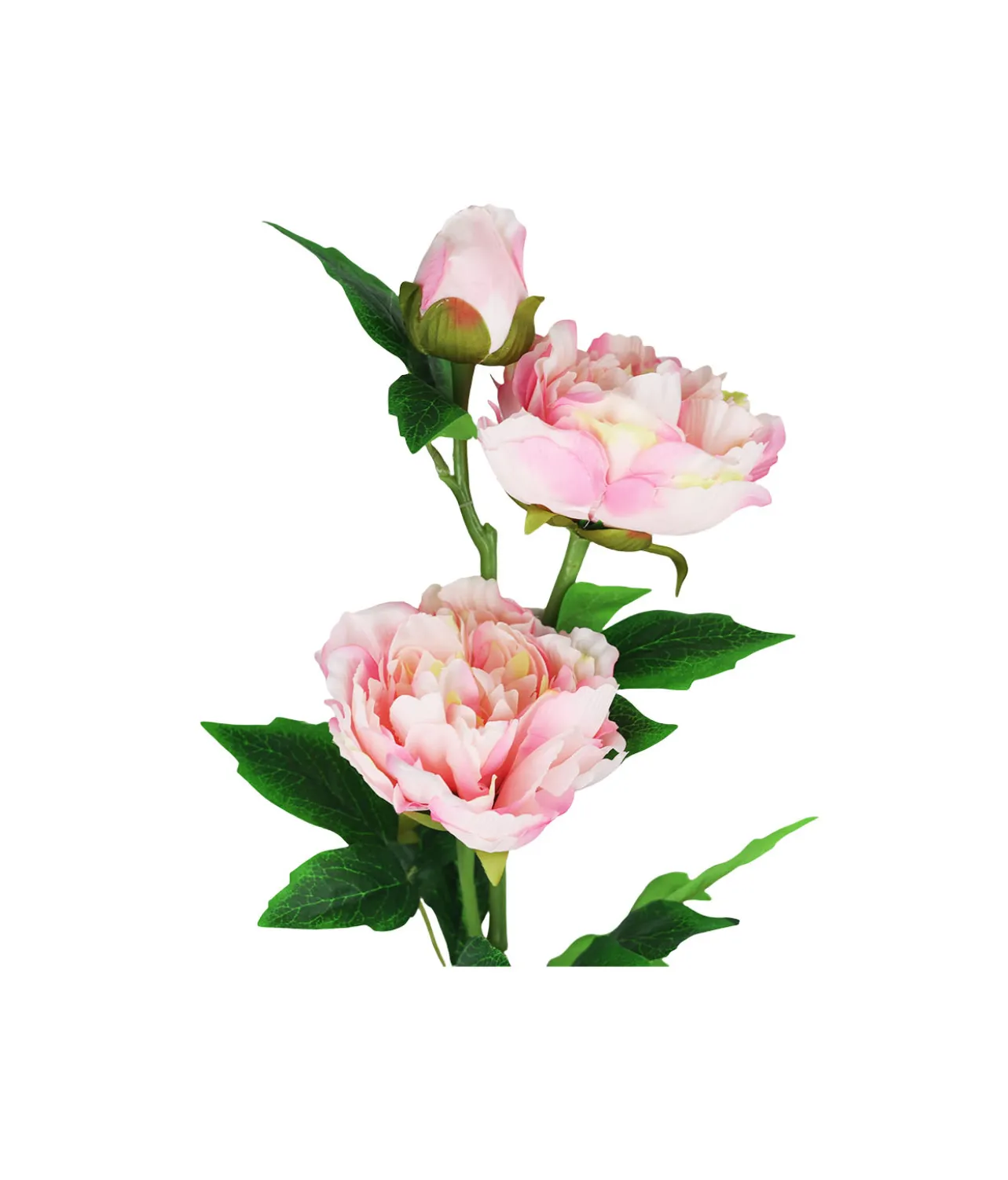 Pink Peony Bush Stem 82cm