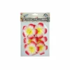 Red Frangipani 6cm 6pc