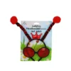 Red Ladybug Headband & Glasses Set