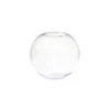 Round Glass Fish Bowl 16cm