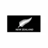 Silver Fern Flag 90x150cm