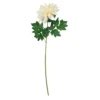 Single Dahlia Assorted 65cm
