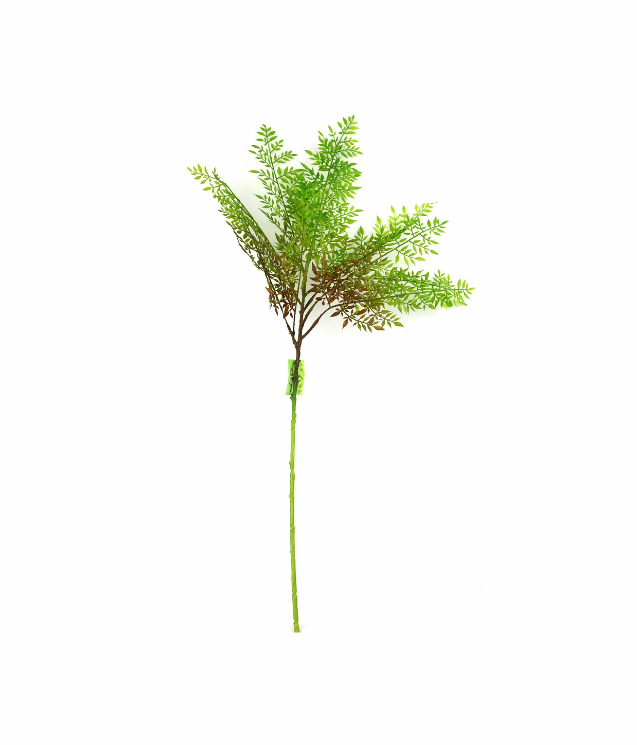 Single Leaf 72cm #3