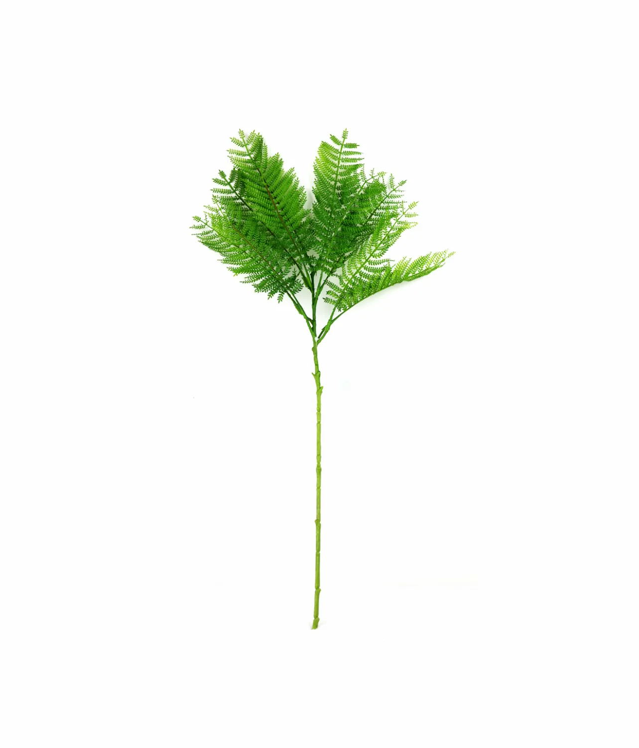Single Leaf 70cm #2