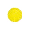 Squeaky & Spiky Dog Toy Assorted 8cm