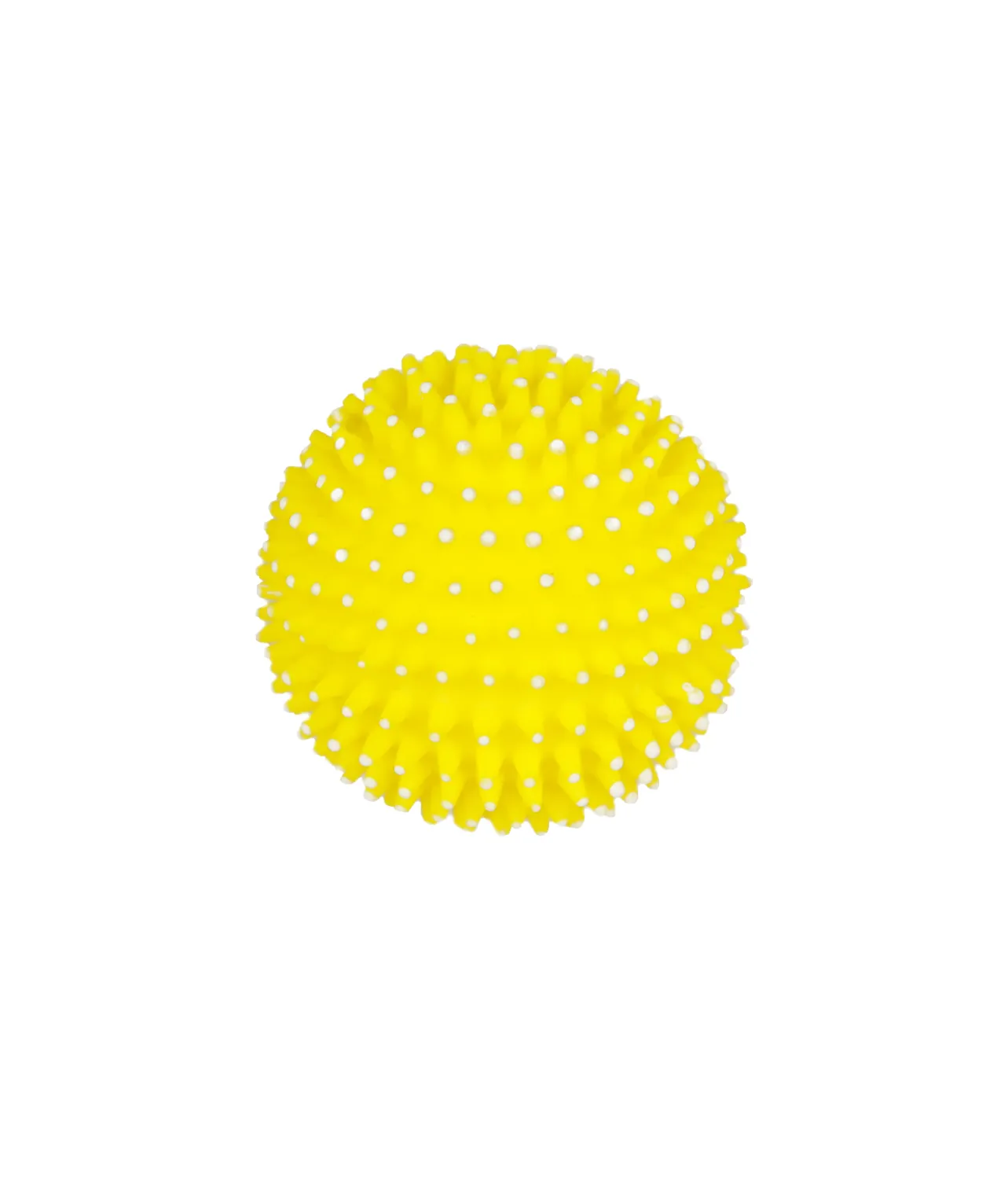 Squeaky & Spiky Dog Toy Assorted 8cm