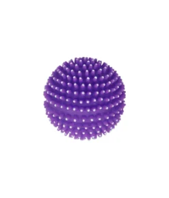 Squeaky & Spiky Dog Toy Assorted 8cm