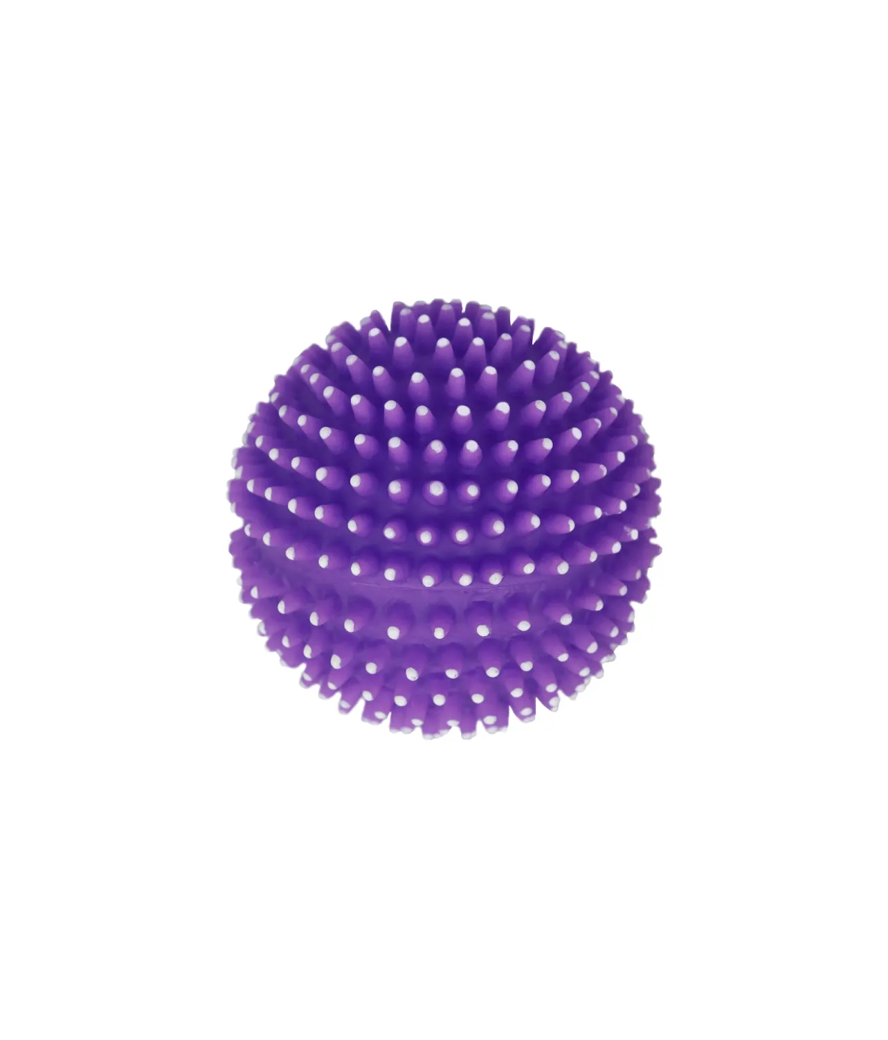 Squeaky & Spiky Dog Toy Assorted 8cm