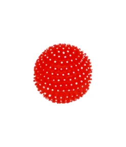 Squeaky & Spiky Dog Toy Assorted 8cm