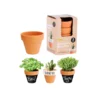 Terracotta Pots Mini 3 Pack