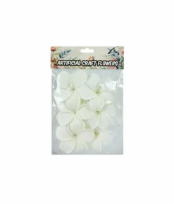 White Frangipani 8cm 6pc